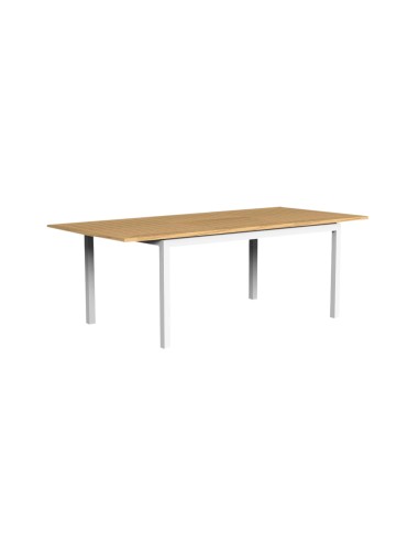 TIMBER Table à manger extensible pour l'extérieur prix pour 